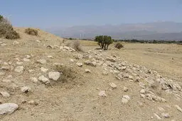 واگذاری زمین ۱۵۰ هزار واحد در قالب طرح جوانی جمعیت