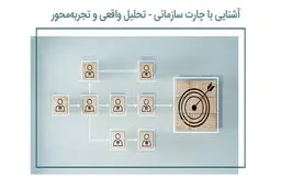 چارت سازمانی چیست و چرا نقش حیاتی در موفقیت کسب‌وکار دارد؟ تحلیل واقعی و تجربه‌محور