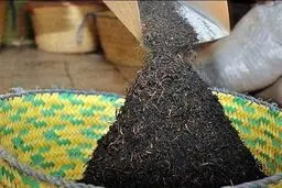 جزئیات تازه از پرونده فساد دبش؛ ماجرای «چای سنواتی سرطان‌زا» به ایران چست؟