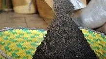 جزئیات تازه از پرونده فساد دبش؛ ماجرای «چای سنواتی سرطان‌زا» به ایران چست؟
