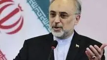 ای کاش عزیزان در پاکستان، غیرت خود را در حمله‌های استکبار جهانی به خاک آن کشور که عروسی‌ها را به عزا تبدیل می‌کرد نشان می‌دادند