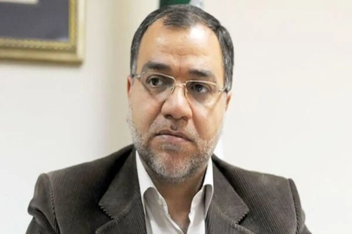 فضائلی: سخنگوی رهبر انقلاب نیستم


