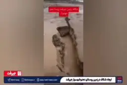بارندگی باعث شکاف زمین در روستا دهنو شهسوار جیرفت شد + ویدیو