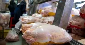 قیمت مرغ امروز 16 فروردین 1405/ مرغ ارزان شد