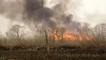 تالاب هور دوباره آتش گرفت 