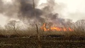 تالاب هور دوباره آتش گرفت 