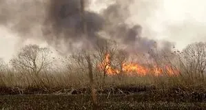 تالاب هور دوباره آتش گرفت 