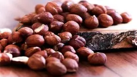 مولتی‌ویتامین در دل طبیعت؛ این مغز را از سفره حذف نکنید