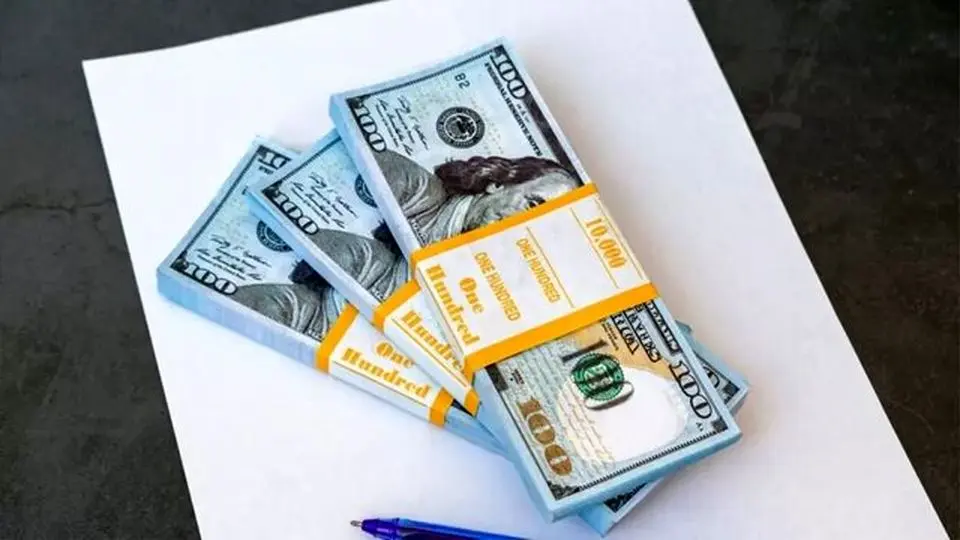 وزیر اقتصاد: تصمیم داریم ارز را تک نرخی کنیم