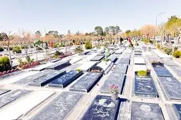 زن جیب‌بر در بهشت زهرا دستگیر شد
