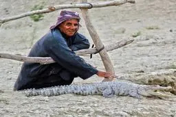 خطر تماس با گاندوها در فصل خشکسالی و زادآوری
