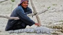 ۷۰ نوزاد گاندو سرشماری شد 
