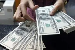 سیاست ارزی دولت رییسی تغییر کرد/ دلار به کدام سو می‌رود؟

