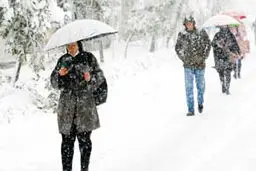 در اندیشه همسایه