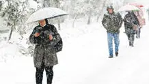 در اندیشه همسایه