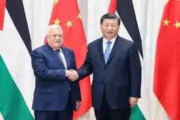 چین از درخواست عضویت فلسطین در بریکس استقبال کرد