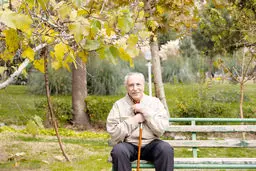 دو رفیق در بند
