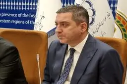 وکلا باید از نظام قضایی مستقل برخوردار و دارای حق دفاع باشند
