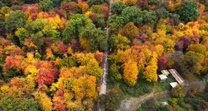 در قلب هیرکانی  میهمانش باش،صاحبش نه!