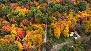 در قلب هیرکانی  میهمانش باش،صاحبش نه!