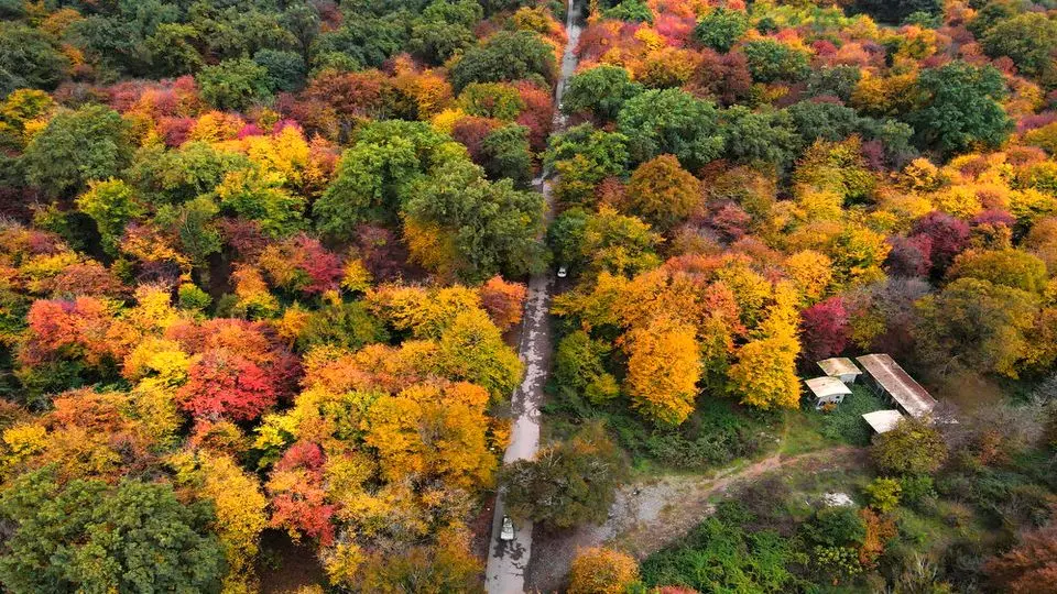 در قلب هیرکانی  میهمانش باش،صاحبش نه!