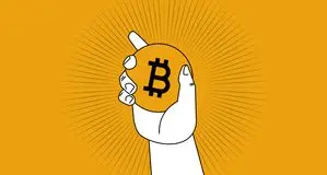 پشت‌پرده رکورد تاریخی بیت کوین/ بزرگ‌ترین و ثروتمندترین دارندگان بیت کوین را بشناسید