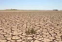 علل گسترش بیابان‌ها در کشور

