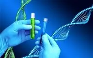 پاسخ مثبت دو ژن‌ به شیمی درمانی بیماران سرطانی 
