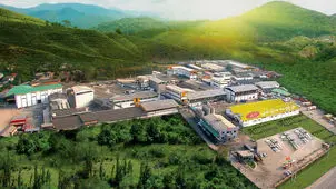 اخلاق، استاندارد و کیفیت 
سه اصل ماندگار گروه غذایی سولیکو
