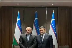 Tehran ,Tashkent mull over boosting ties in economic sectors