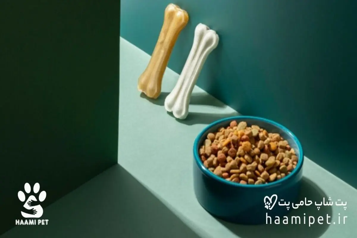 خرید غذای سگ از پت شاپ حامی پت