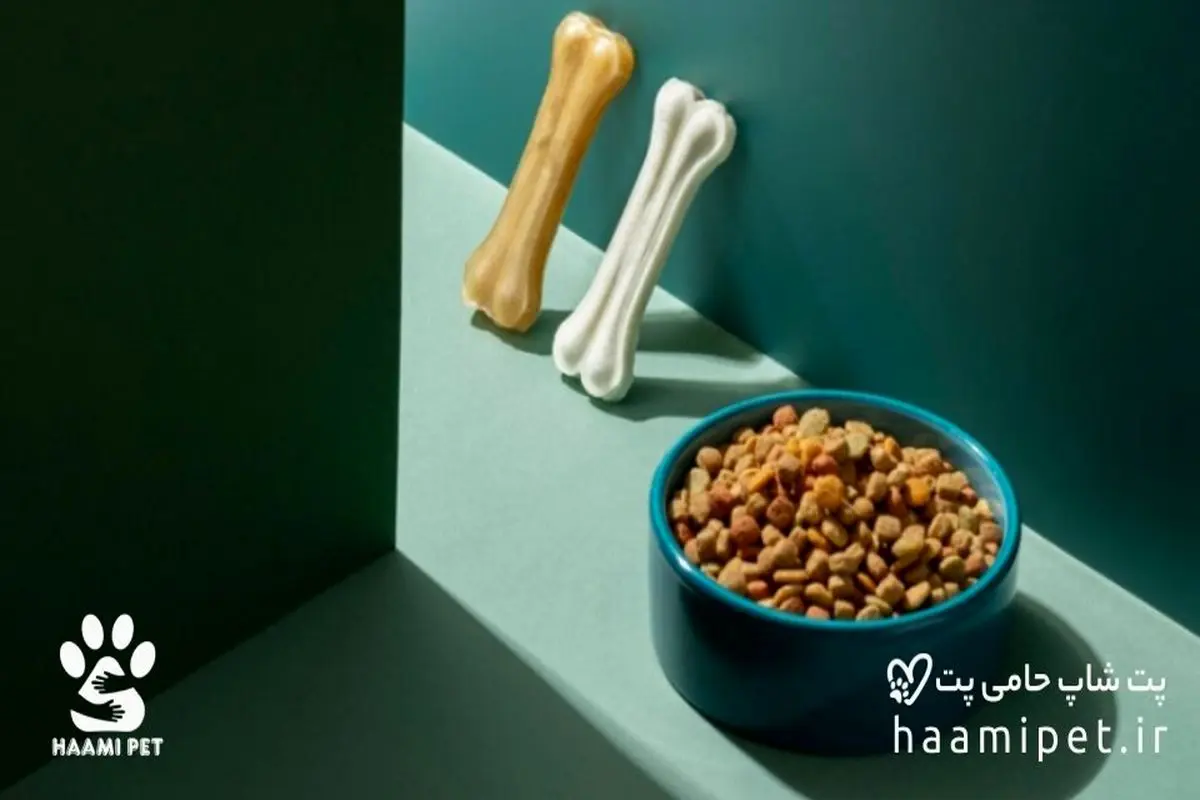 خرید غذای سگ از پت شاپ حامی پت
