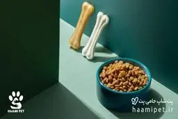 خرید غذای سگ از پت شاپ حامی پت