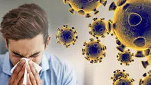 مادر انصاریان از ماجراهای بعد مرگ پسرش  گفت 