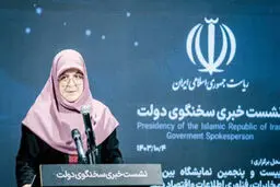 مسئله، اختلاط برنج  ارزان‌ با ‌گران بود