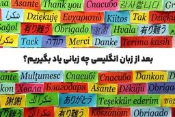 بعد از زبان انگلیسی چه زبانی یاد بگیریم؟