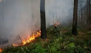 آخرین خبر از آتش‌سوزی جنگل‌های گلستان/ بالگرد آمد