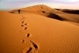 پهپاد‌های امدادی ۳ گمشده در کویر آرادان را نجات دادند 