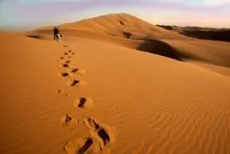 پهپاد‌های امدادی ۳ گمشده در کویر آرادان را نجات دادند 