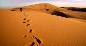 پهپاد‌های امدادی ۳ گمشده در کویر آرادان را نجات دادند 