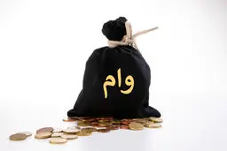 وام ۴ میلیارد تومانی با سود ۴ درصد؛ فرصت جدید برای توسعه مشاغل خانگی پشتیبان