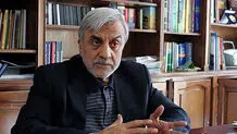 هاشمی‌طبا: «گربه» ایران در حال «فوت» است / دولت در مسئله حجاب تا حد زیادی شکست خورد