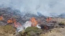 شعله ور شدن آتش در میانکاله پس از مهار آتش‌سوزی + ویدیو