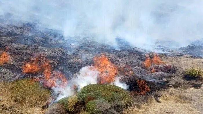 موج آتش‌سوزی‌ جنگل‌های هیرکانی عادی نیست/ احتمال شروع آتش‌سوزی با ریزپرنده