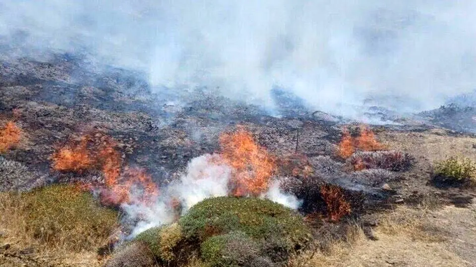 موج آتش‌سوزی‌ جنگل‌های هیرکانی عادی نیست/ احتمال شروع آتش‌سوزی با ریزپرنده