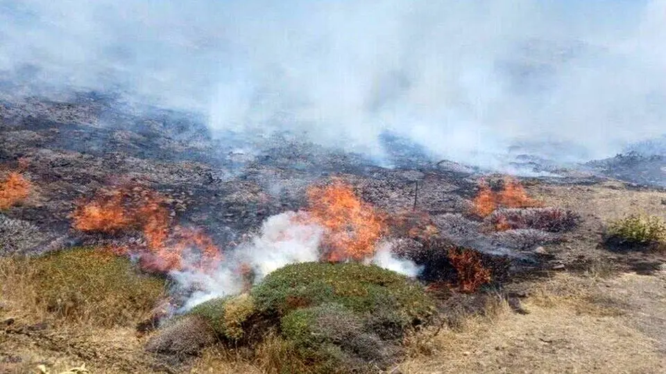 موج آتش‌سوزی‌ جنگل‌های هیرکانی عادی نیست/ احتمال شروع آتش‌سوزی با ریزپرنده