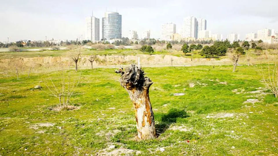 برج‌ها قاتل باغ منحصر‌به‌فرد خاورمیانه