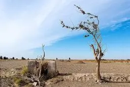 عدم همکاری افغانستان در احیای تالاب هامون زمینه‌ساز وقوع فاجعه انسانی در منطقه 