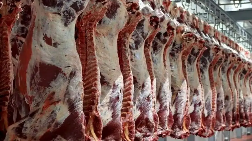 چرا گوشت گرم و تخممرغ از لیست کالاهای اساسی حذف شد؟