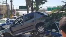 تصادف پژو ۲۰۶ با ماشین پلیس و تکرار ماجرای باز نشدن ایربگ